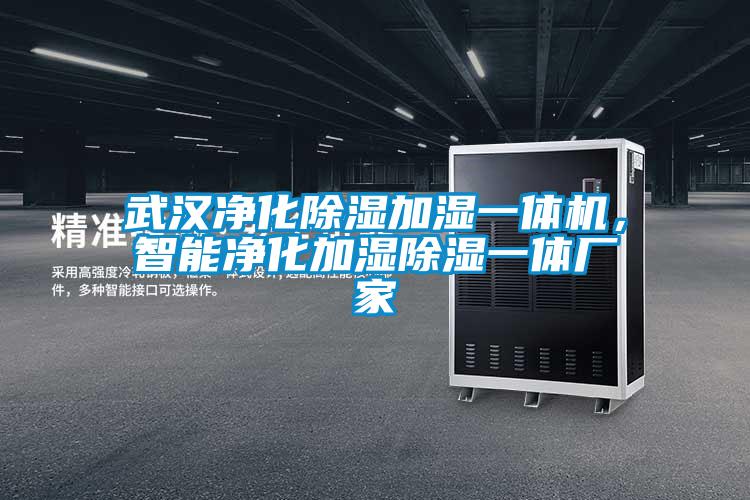 武漢凈化除濕加濕一體機，智能凈化加濕除濕一體廠家