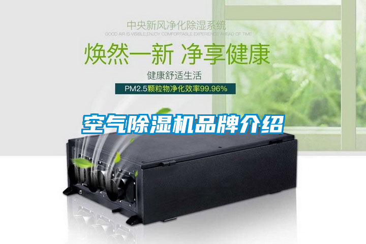 空氣除濕機品牌介紹