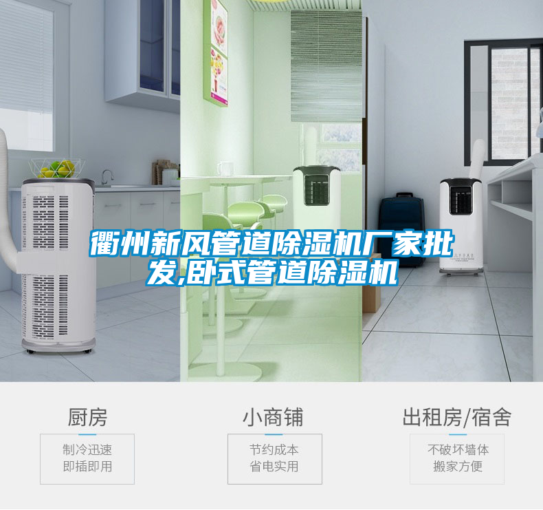 衢州新風管道除濕機廠家批發,臥式管道除濕機