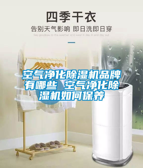 空氣凈化除濕機品牌有哪些 空氣凈化除濕機如何保養