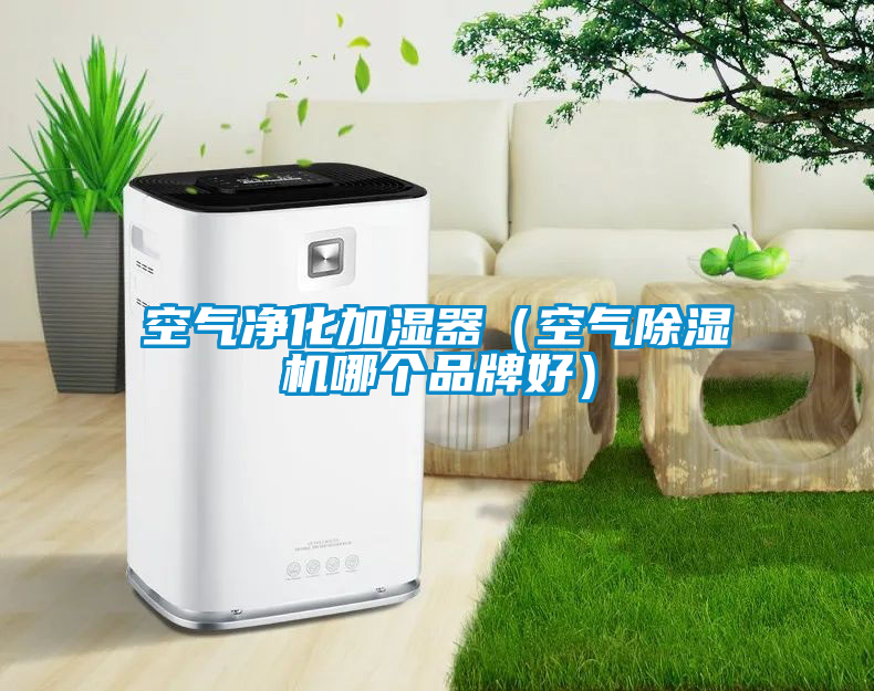 空氣凈化加濕器（空氣除濕機哪個品牌好）