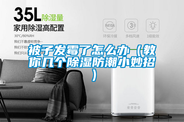 被子發霉了怎么辦（教你幾個除濕防潮小妙招）