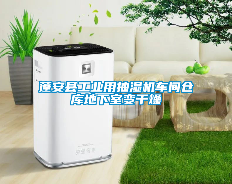 蓬安縣工業用抽濕機車間倉庫地下室變干燥