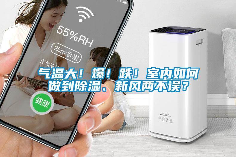 氣溫大！爆！跌！室內(nèi)如何做到除濕、新風(fēng)兩不誤？