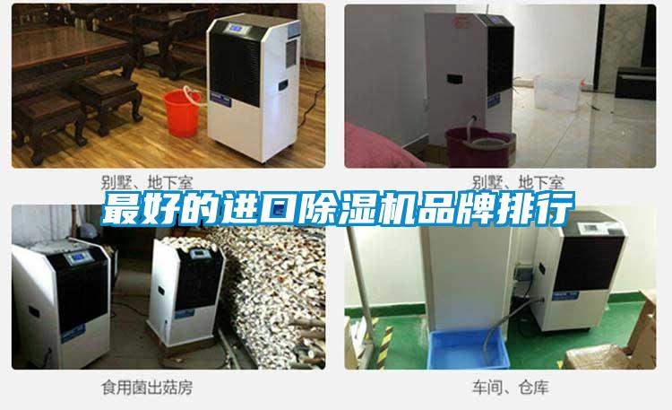 最好的進口除濕機品牌排行