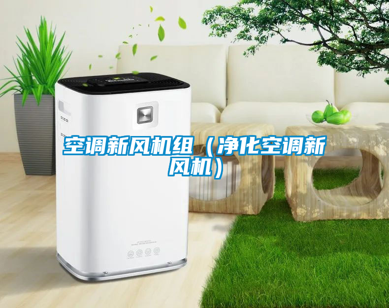 空調(diào)新風(fēng)機(jī)組（凈化空調(diào)新風(fēng)機(jī)）