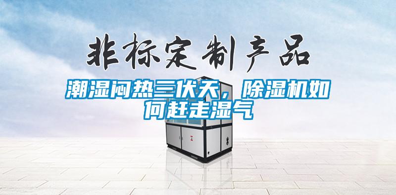 潮濕悶熱三伏天，除濕機如何趕走濕氣
