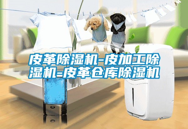 皮革除濕機-皮加工除濕機-皮革倉庫除濕機
