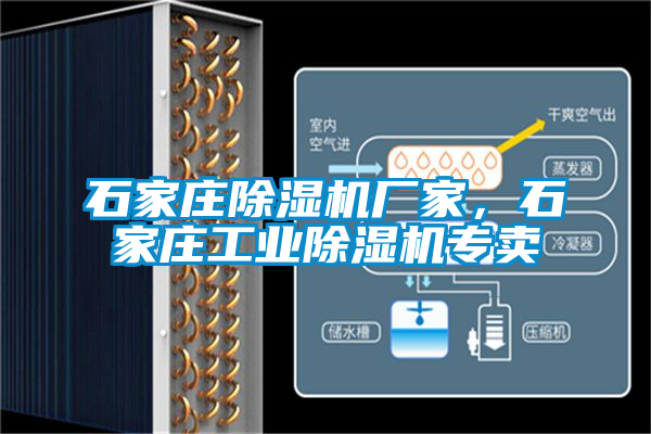 石家莊除濕機(jī)廠家，石家莊工業(yè)除濕機(jī)專賣