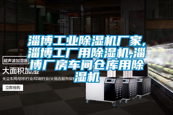 淄博工業(yè)除濕機廠家,淄博工廠用除濕機,淄博廠房車間倉庫用除濕機