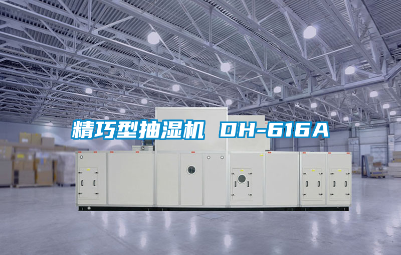 精巧型抽濕機(jī) DH-616A