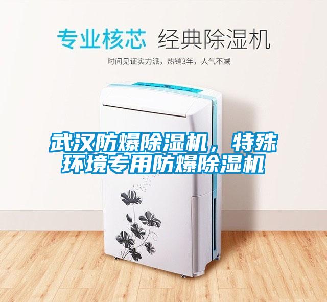 武漢防爆除濕機(jī)，特殊環(huán)境專用防爆除濕機(jī)