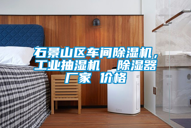 石景山區(qū)車間除濕機(jī)，工業(yè)抽濕機(jī)  除濕器廠家 價(jià)格
