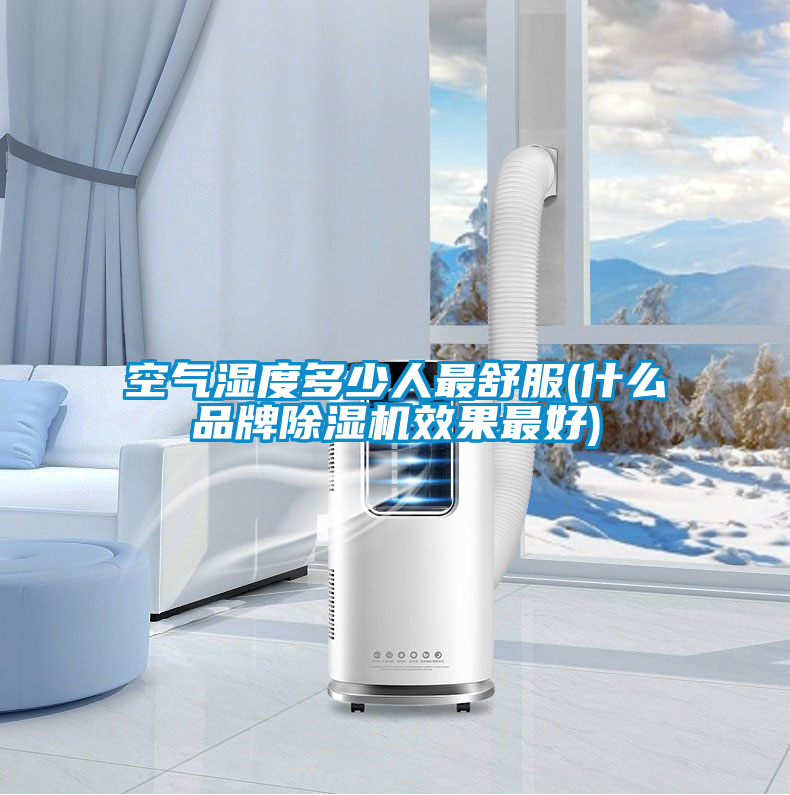 空氣濕度多少人最舒服(什么品牌除濕機效果最好)