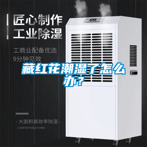 藏紅花潮濕了怎么辦？