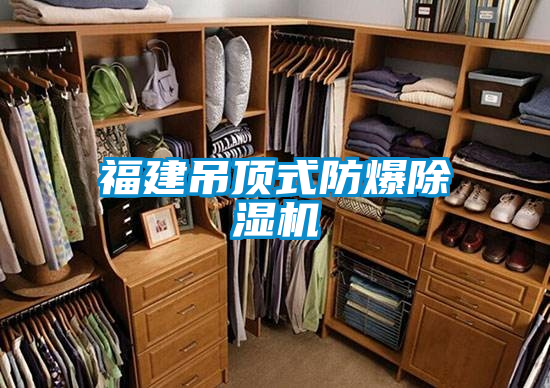 福建吊頂式防爆除濕機(jī)