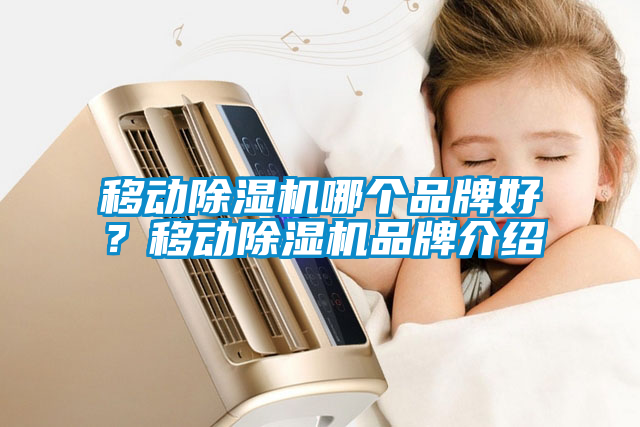 移動除濕機哪個品牌好？移動除濕機品牌介紹