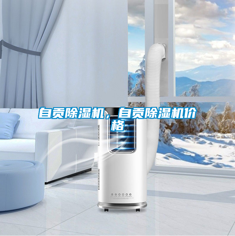 自貢除濕機，自貢除濕機價格