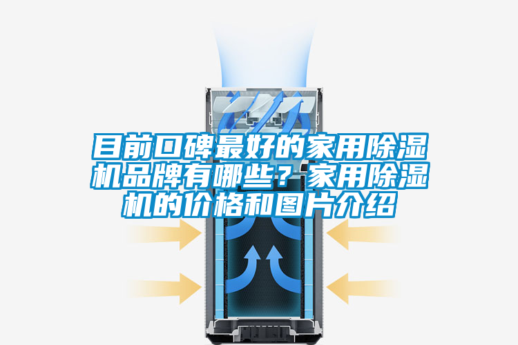 目前口碑最好的家用除濕機品牌有哪些？家用除濕機的價格和圖片介紹