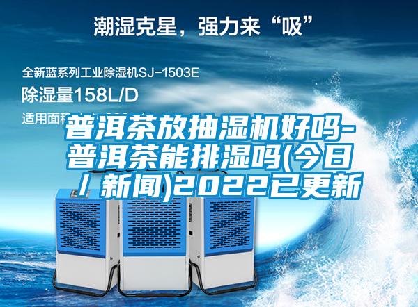 普洱茶放抽濕機好嗎-普洱茶能排濕嗎(今日／新聞)2022已更新