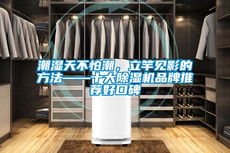 潮濕天不怕潮，立竿見影的方法——十大除濕機(jī)品牌推薦好口碑