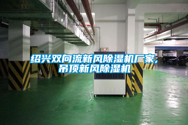 紹興雙向流新風除濕機廠家,吊頂新風除濕機