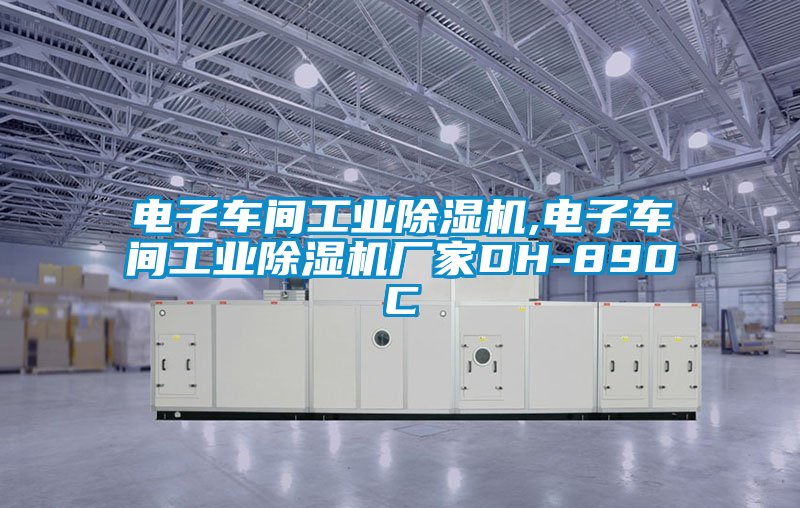 電子車間工業(yè)除濕機(jī),電子車間工業(yè)除濕機(jī)廠家DH-890C