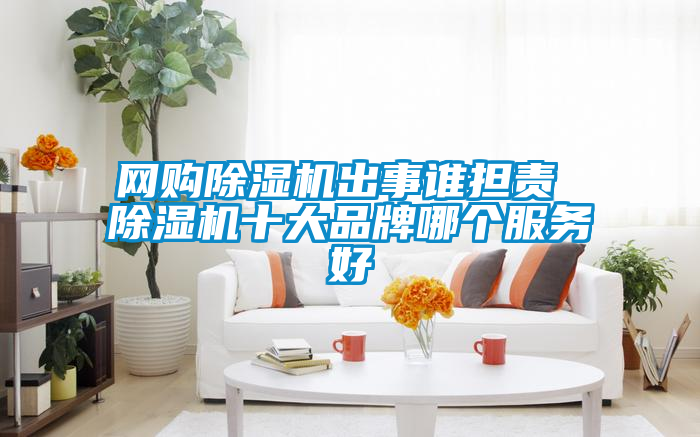 網購除濕機出事誰擔責 除濕機十大品牌哪個服務好
