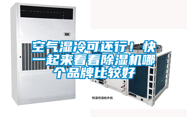空氣濕冷可還行！快一起來看看除濕機哪個品牌比較好