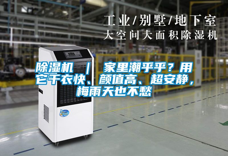 除濕機 ｜ 家里潮乎乎？用它干衣快、顏值高、超安靜，梅雨天也不愁