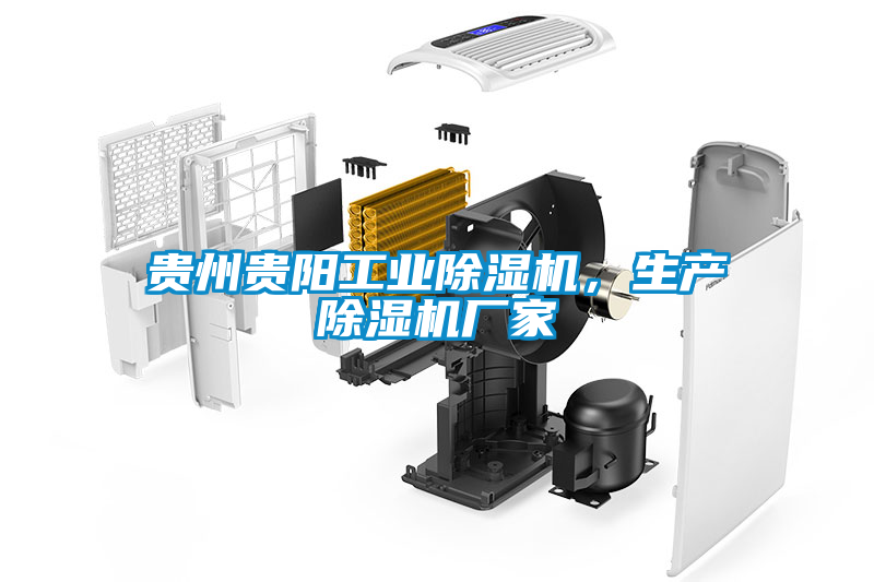 貴州貴陽工業(yè)除濕機(jī)，生產(chǎn)除濕機(jī)廠家