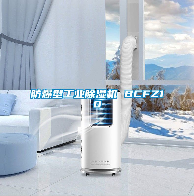 防爆型工業除濕機 BCFZ10