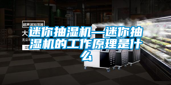 迷你抽濕機(jī)—迷你抽濕機(jī)的工作原理是什么