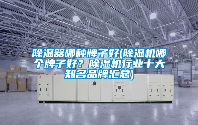 除濕器哪種牌子好(除濕機哪個牌子好？除濕機行業(yè)十大知名品牌匯總)