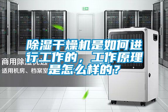 除濕干燥機是如何進行工作的，工作原理是怎么樣的？