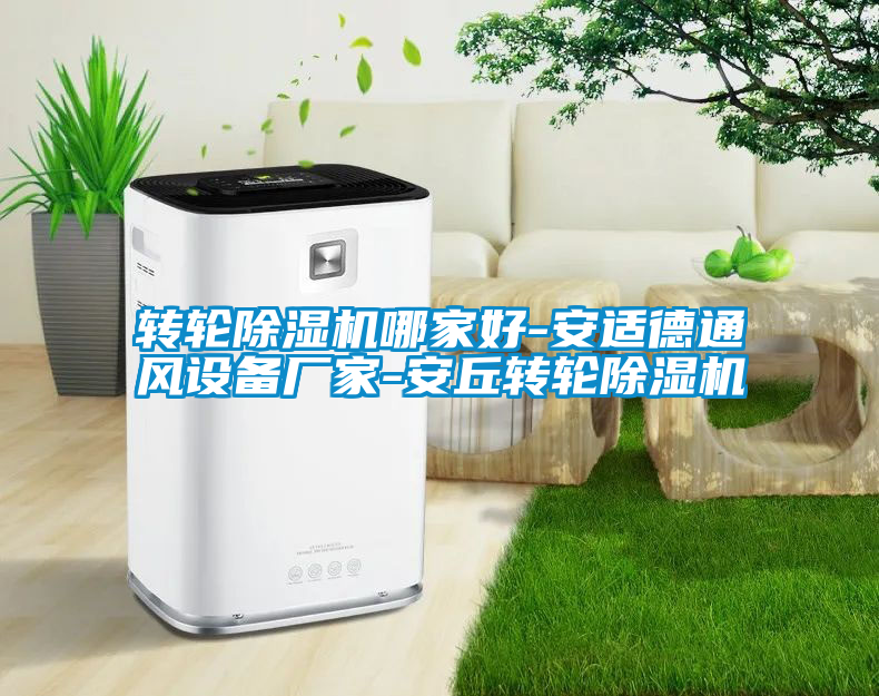 轉輪除濕機哪家好-安適德通風設備廠家-安丘轉輪除濕機
