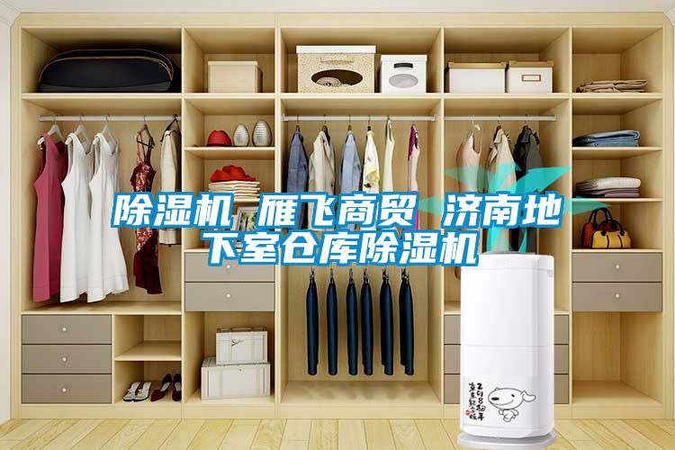 除濕機 雁飛商貿 濟南地下室倉庫除濕機