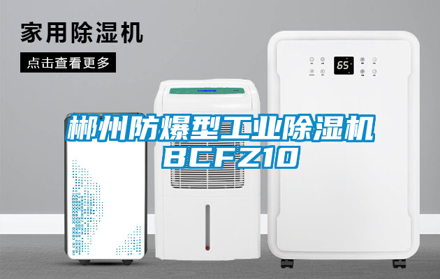 郴州防爆型工業(yè)除濕機 BCFZ10