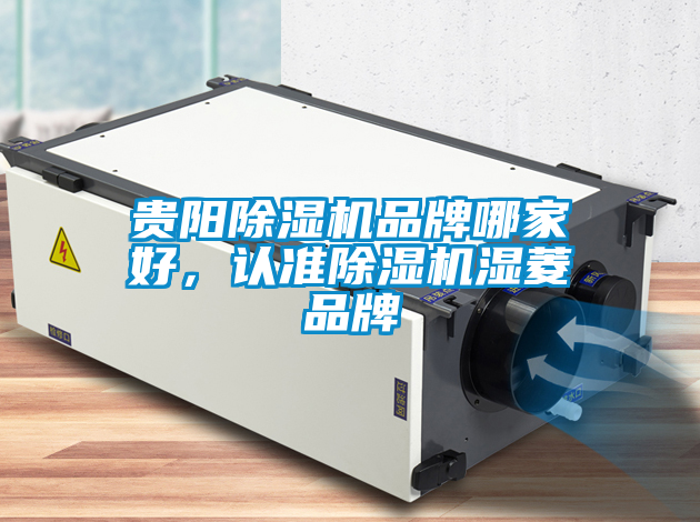 貴陽除濕機(jī)品牌哪家好，認(rèn)準(zhǔn)除濕機(jī)濕菱品牌