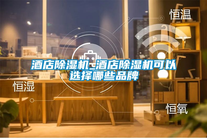 酒店除濕機_酒店除濕機可以選擇哪些品牌