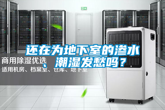 還在為地下室的滲水、潮濕發愁嗎？