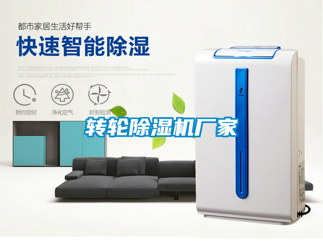 轉(zhuǎn)輪除濕機廠家