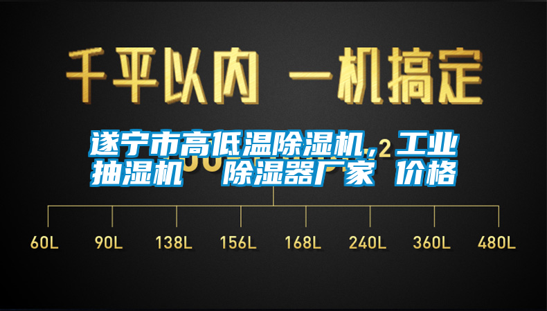 遂寧市高低溫除濕機(jī)，工業(yè)抽濕機(jī)  除濕器廠家 價格