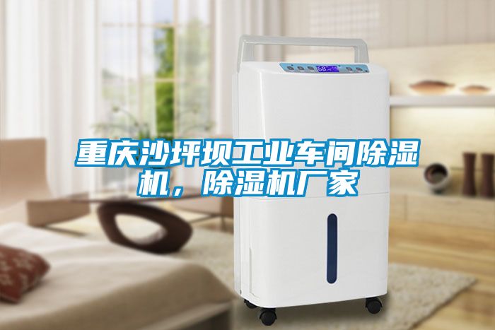 重慶沙坪壩工業車間除濕機，除濕機廠家