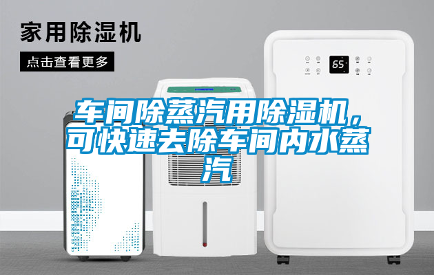 車間除蒸汽用除濕機，可快速去除車間內(nèi)水蒸汽