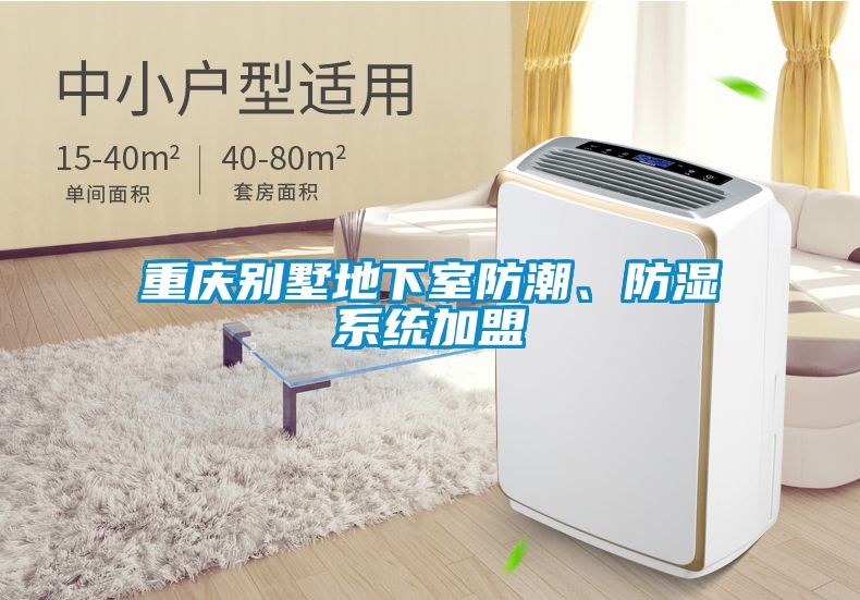 重慶別墅地下室防潮、防濕系統加盟