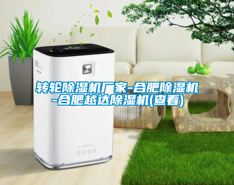 轉(zhuǎn)輪除濕機廠家-合肥除濕機-合肥越達除濕機(查看)