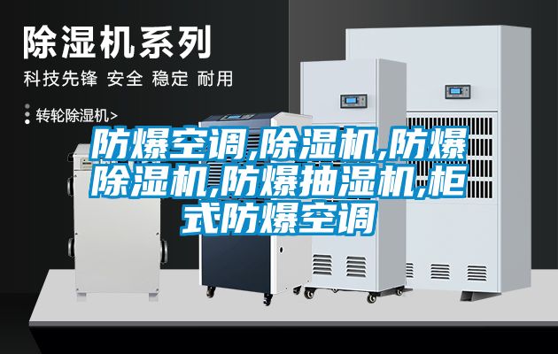 防爆空調(diào),除濕機,防爆除濕機,防爆抽濕機,柜式防爆空調(diào)