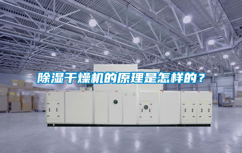 除濕干燥機的原理是怎樣的？