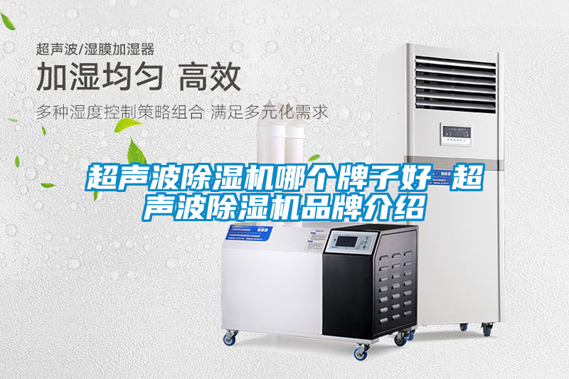 超聲波除濕機哪個牌子好 超聲波除濕機品牌介紹
